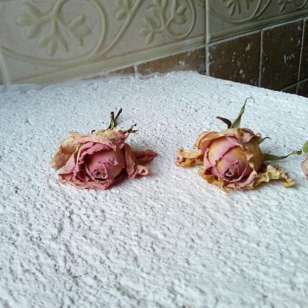 Posada Del Dulce Sueno Mojares ภายนอก รูปภาพ